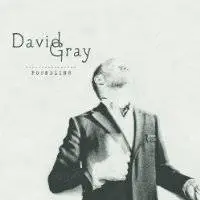 David Gray : Foundling